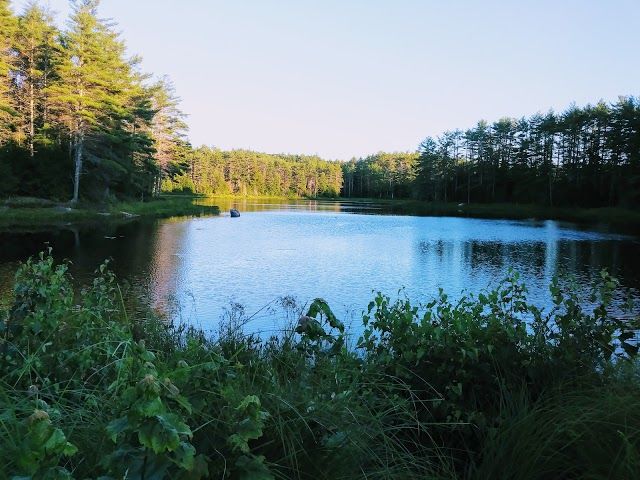 Northwood Meadows State Park