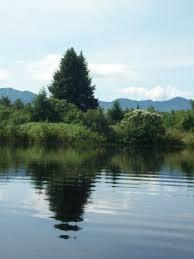 Streeter Pond