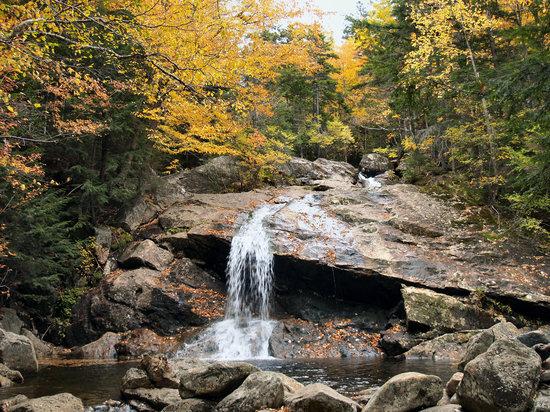 Wildcat Mountain