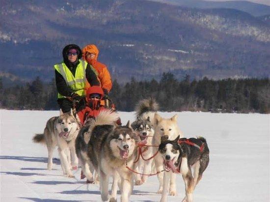 Valley Snow Dogz