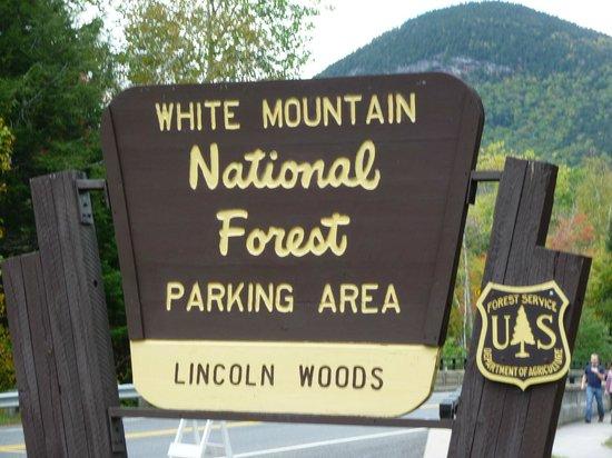 Lincoln Woods