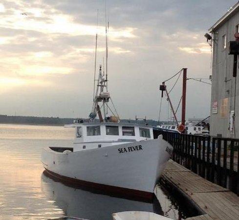 Sea Fever Charters