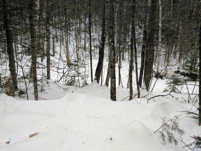 Smarts Brook Trailhead