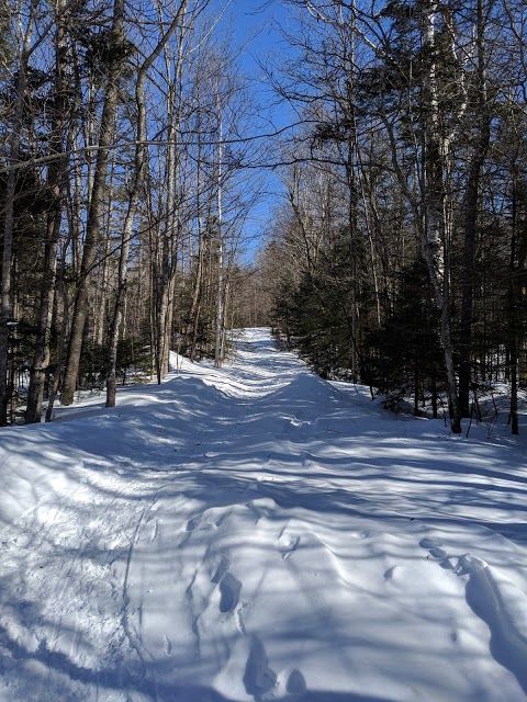 Black Mountain Ski Trailhead