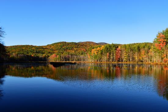 Quincy Bog Natural Area