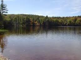 Lower Beech Pond